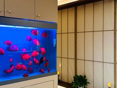 -宫七SPA·高端Massage(浦东大道店)
