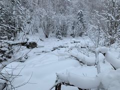 -雪谷