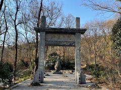 -南京老山国家森林公园