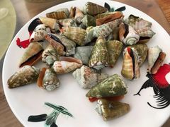 红口螺-八方海味餐厅