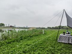 -苏州湾体育公园