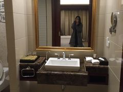 -圣爵菲斯大酒店(长沙世界之窗店)