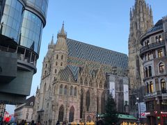 -斯蒂芬主教座堂(Stephansdom)