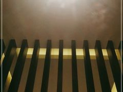 -长安先导国际创新人才交流中心