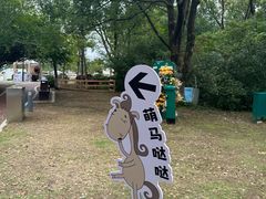 -金鸡湖桃花岛