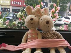 -ICEPOPO MILK(玉兰店)