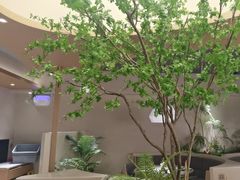 -同合居·非遗东北菜(红博会展店)