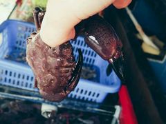 -龙溪海鲜酒家(溪涌店)