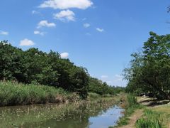 -白鹭湾湿地公园