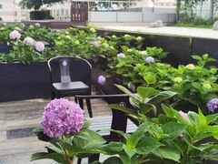 -悦融·京鲁菜·露台花园(安定门店)