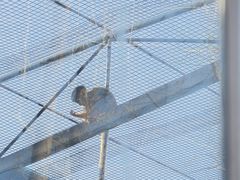 -秦皇岛野生动物园