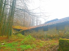 -山王坪喀斯特国家生态公园