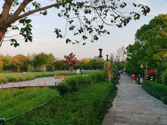 -西溪国家湿地公园
