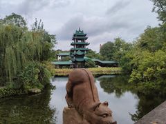 -桂湖森林公园