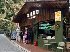 -野象谷景区