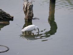 -新江湾城公园