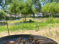 -永定河休闲森林公园