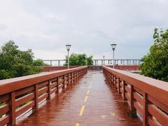 -宝安西湾红树林湿地公园