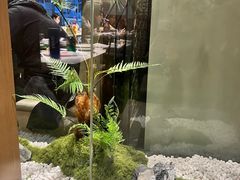-七欣天香辣蟹火锅(苏州东大街店)