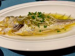 -三利音·玖弄小鲜(浦东嘉里城店)