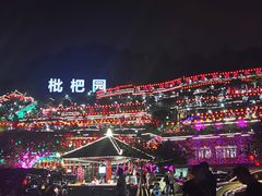 -枇杷园食为鲜火锅(南山店)