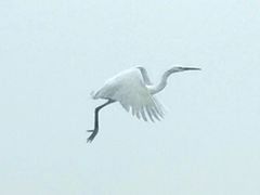 -洪泽湖古堰景区