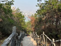 -青龙山国家森林公园