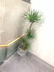-那茉 Hair Salon
