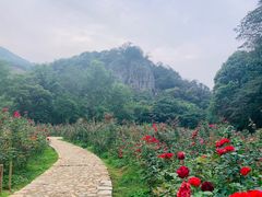 -广州市石门国家森林公园