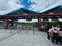 -汤旺河林海奇石景区