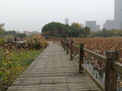 -艾溪湖湿地公园