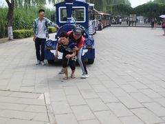 -白洋淀景区