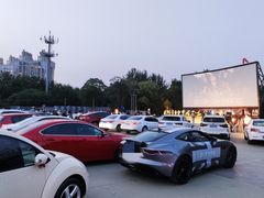 -枫花园汽车电影院(朝阳公园店)