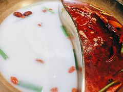 -铜锅演义(马坡店)