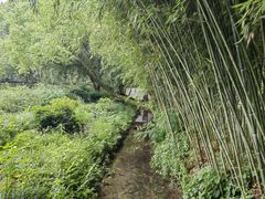 -兰亭风景区