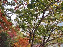 -秦岭终南山世界地质公园翠华山景区