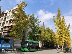 -四川大学(望江校区)