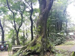 -广州市帽峰山景区