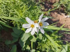 -北京金海湖景区