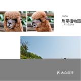 超级刺激。 南山寺：南山寺有世界上最高的水上观音像