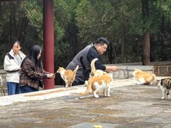 -四门塔风景区