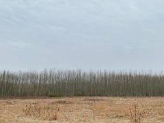 -咸阳湖景区