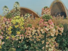 -中国天府农业博览园