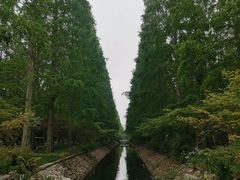 -东平国家森林公园