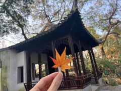-秋霞圃