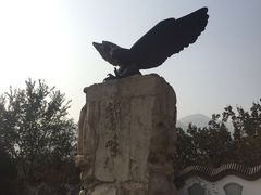 -北京鹫峰国家森林公园
