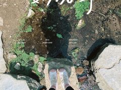 -白水寺森林公园