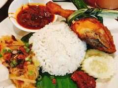 -小槟城美食馆
