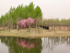 -东郊湿地公园