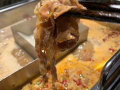 -鼎膳常火锅(华阳店)